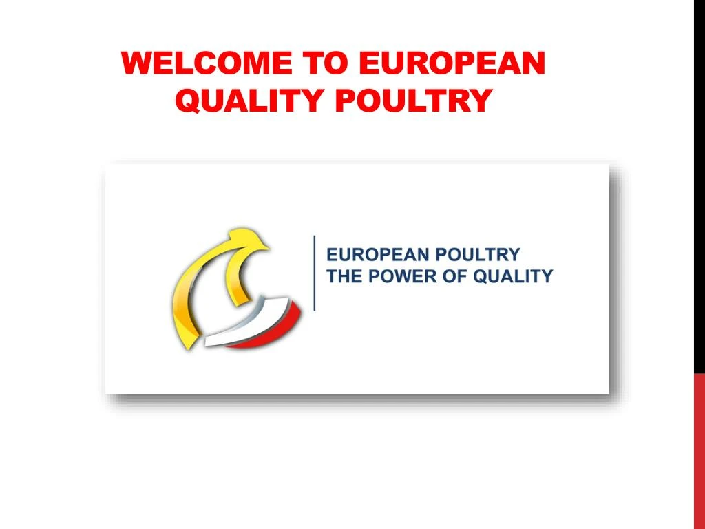 welcome to european quality poultry