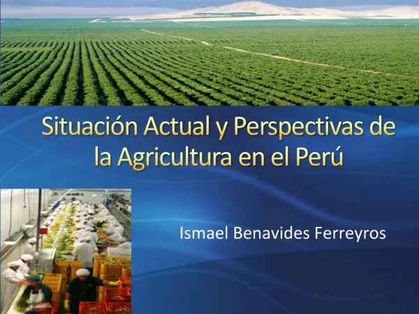 Situaci n Actual y Perspectivas de la Agricultura en el Per