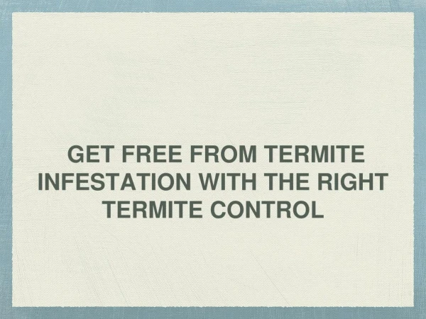 Termite Infestation and Signs of Termite Infestation