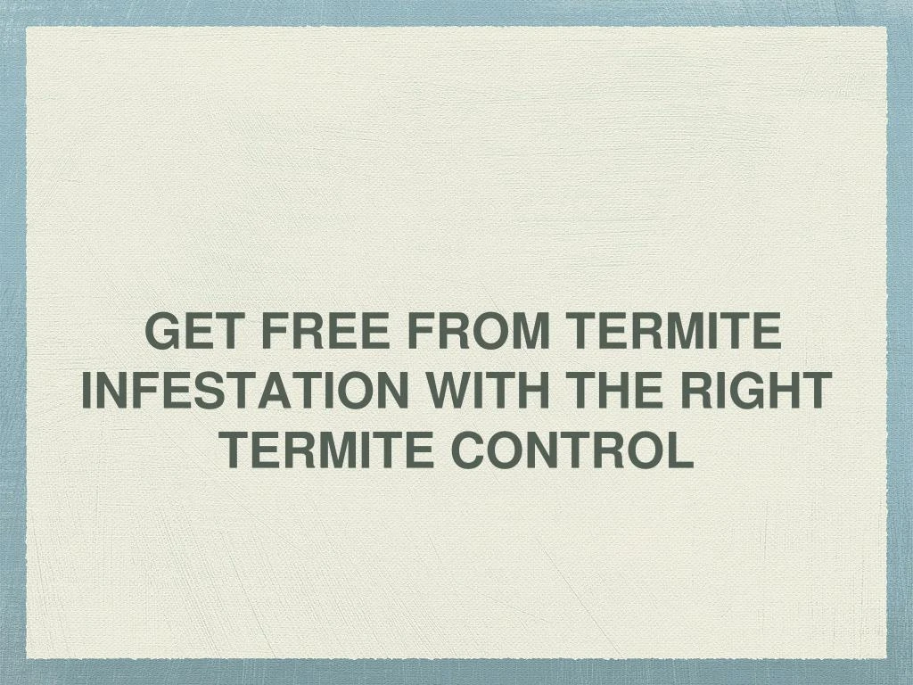 get free from termite infestation with the right termite control