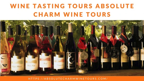 Best Wine Tasting Tours