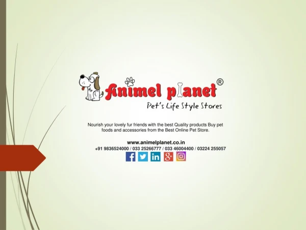 Animel Planet | Best online pet store in Kolkata, Haldia,Siliguri