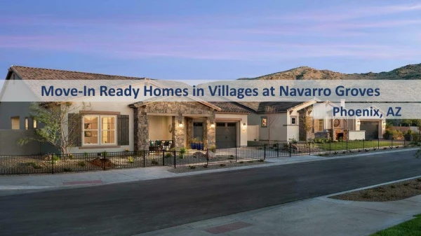 Move in ready homes in villages at navarro groves