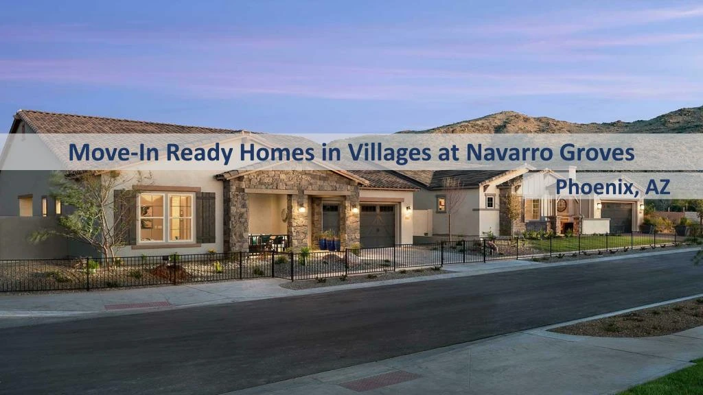 move in ready homes in villages at navarro groves