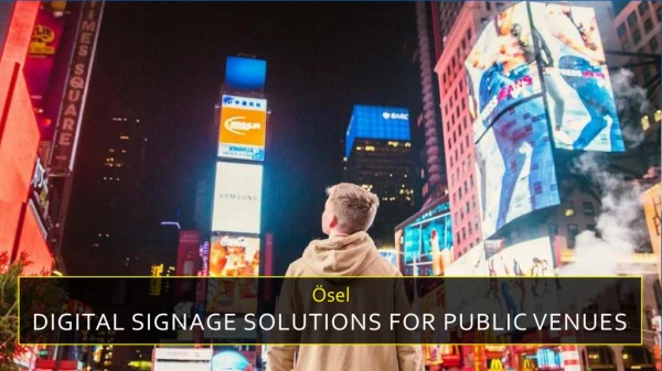 Digital Signage Solutions for Public Venues