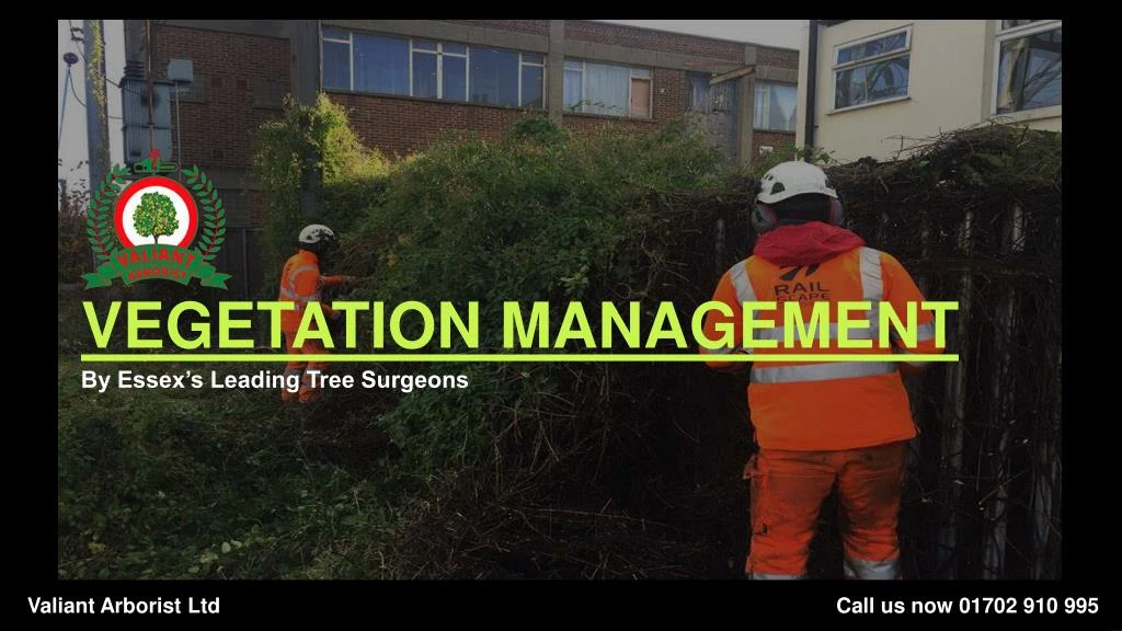 vegetation management