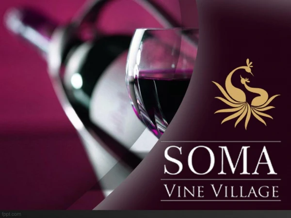 Soma Wine is Best Awards Winning Wine in India