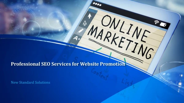 Professional SEO Services for Website Promotion