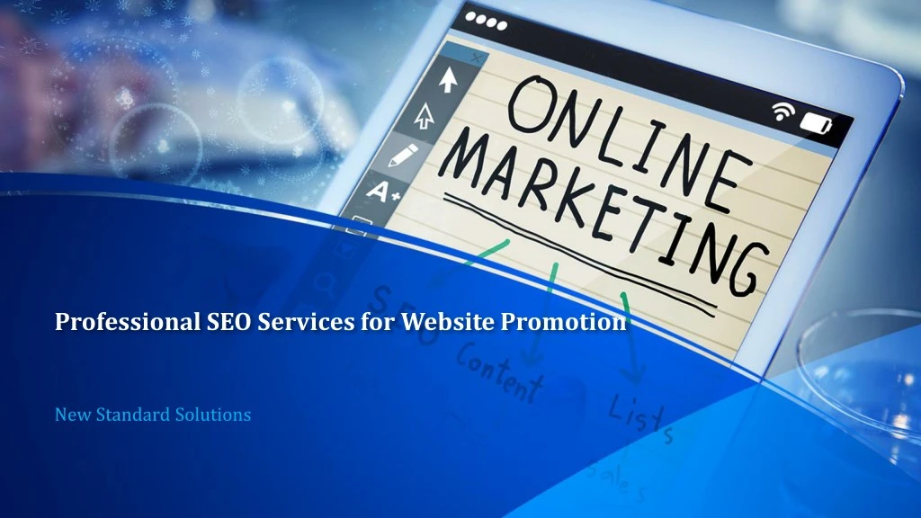 professional seo services for website promotion