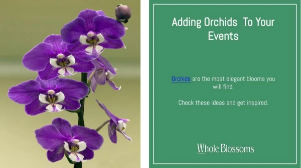 Add Gorgeous Wholesale Orchids at Your Event