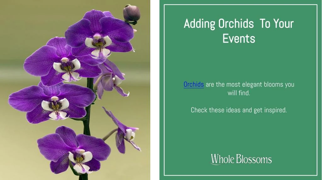 adding orchids to your events