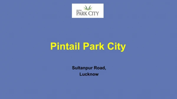 Pintail Park City Lucknow