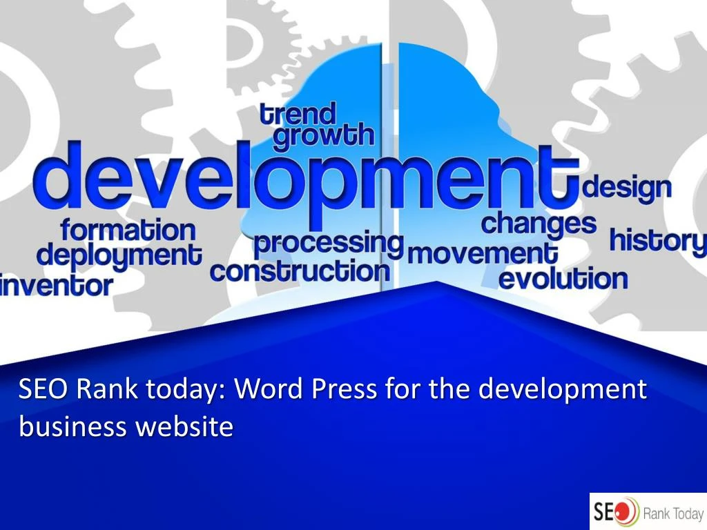 seo rank today word press for the development business website