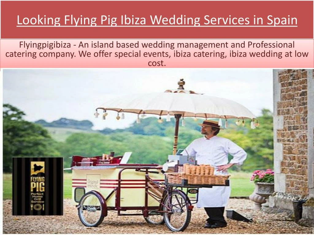 looking flying pig ibiza wedding services in spain