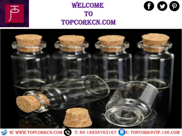 Monomer Bottle Stopper China at topcorkcn.com