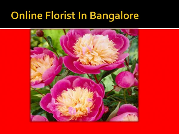 Local Florist In Bangalore