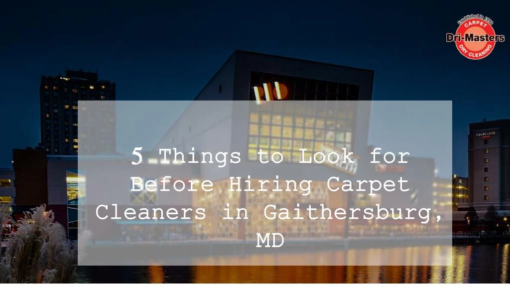 5 things to look for before hiring carpet