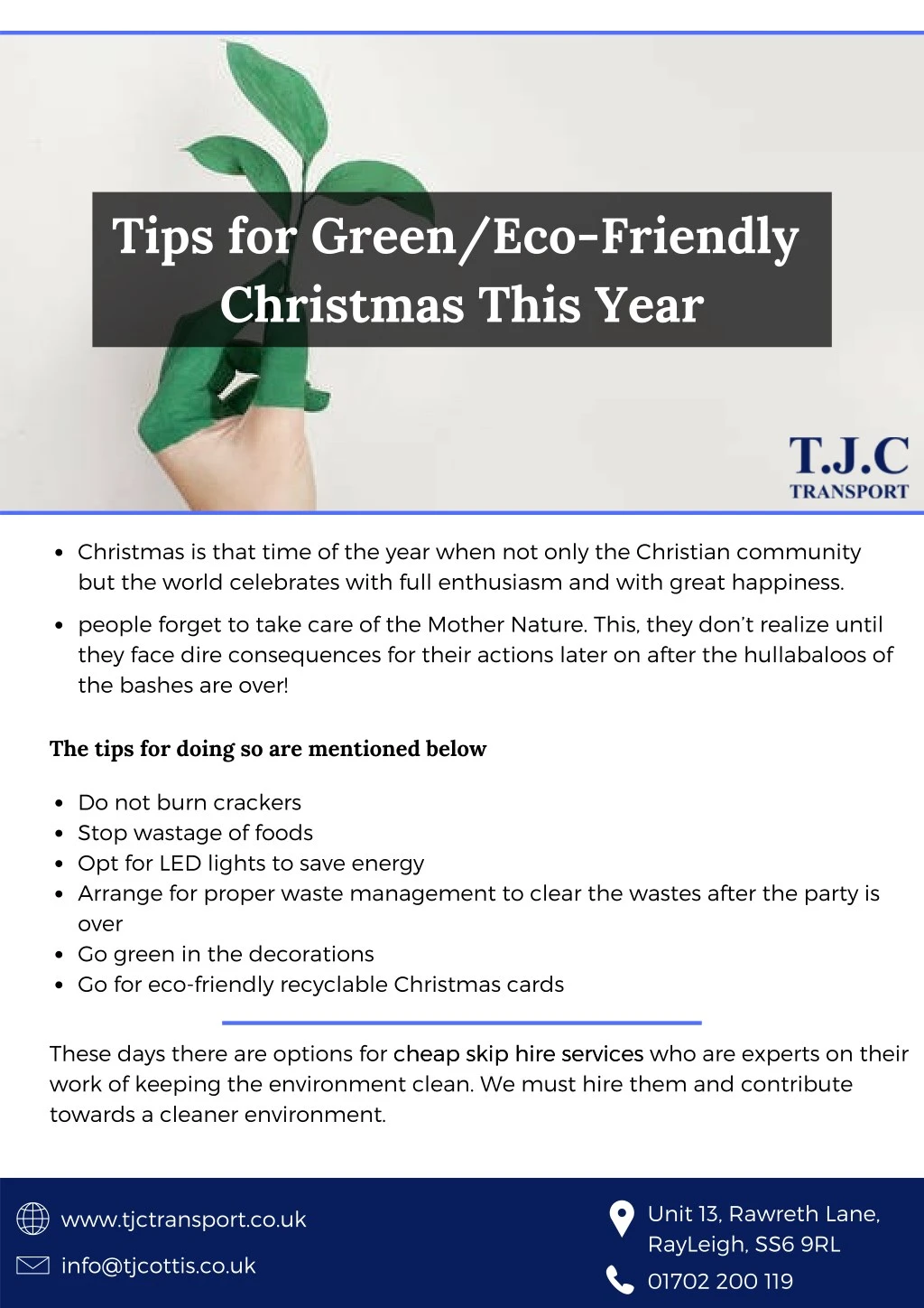 tips for green eco friendly christmas this year