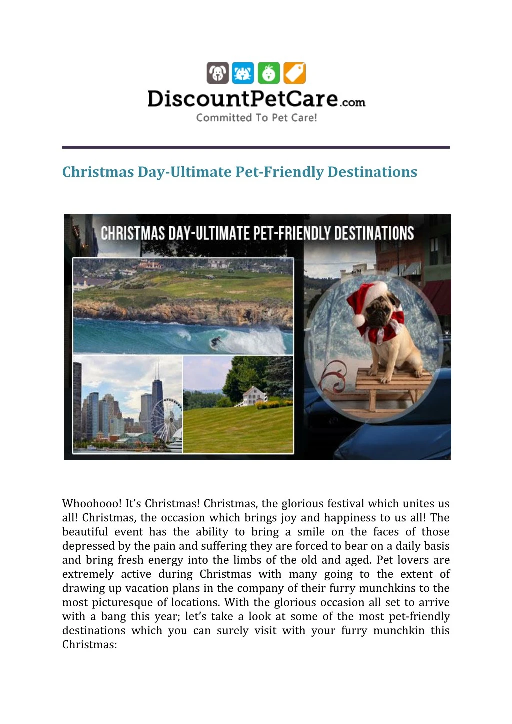 christmas day ultimate pet friendly destinations