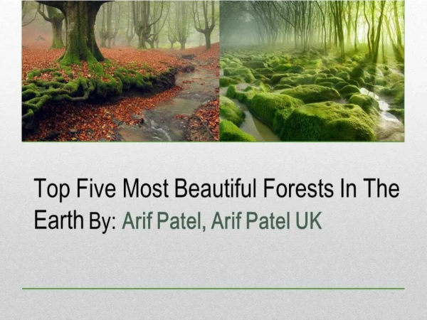 Know Most Beautiful Forests by Arif Patel, Arif Patel UK