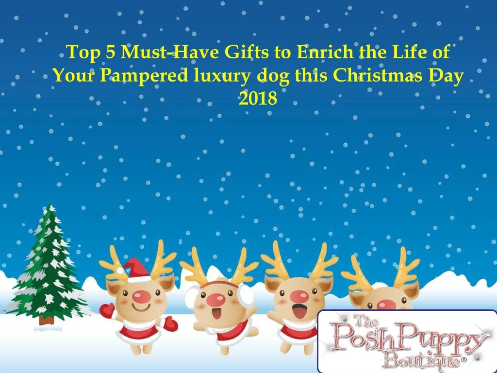 top 5 must have gifts to enrich the life of your pampered luxury dog this christmas day 2018