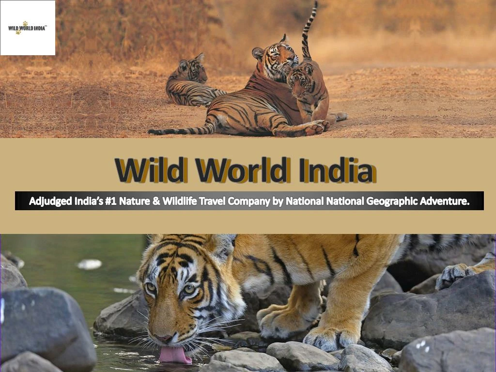 wild world india