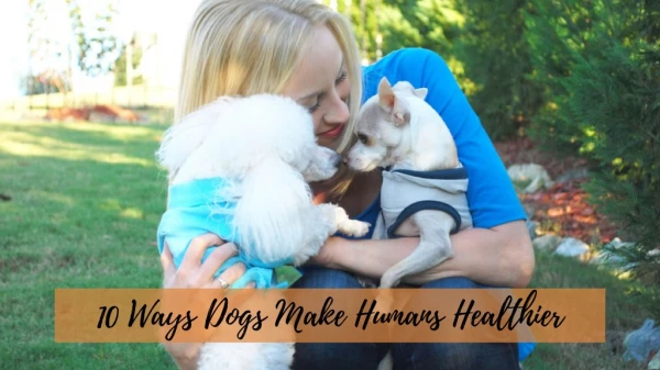 Having A Dog makes Human Healthier