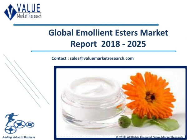 Emollient Esters Market Report | Industry Analysis 2018-2025