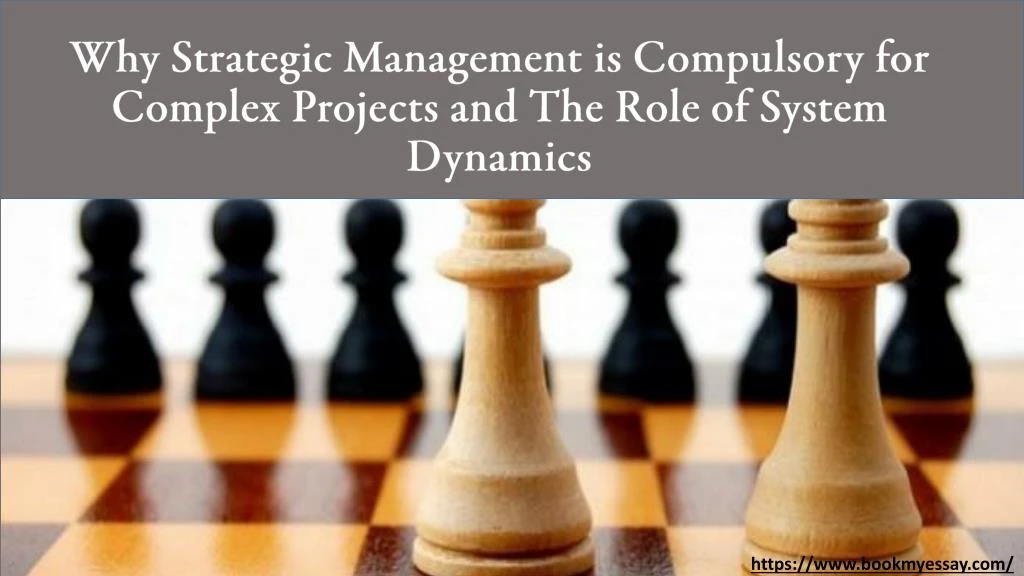 why strategic management is compulsory for complex projects and the role of system dynamics