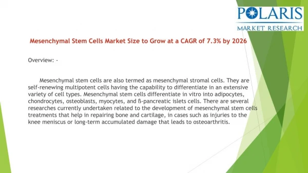 Mesenchymal Stem Cells Market
