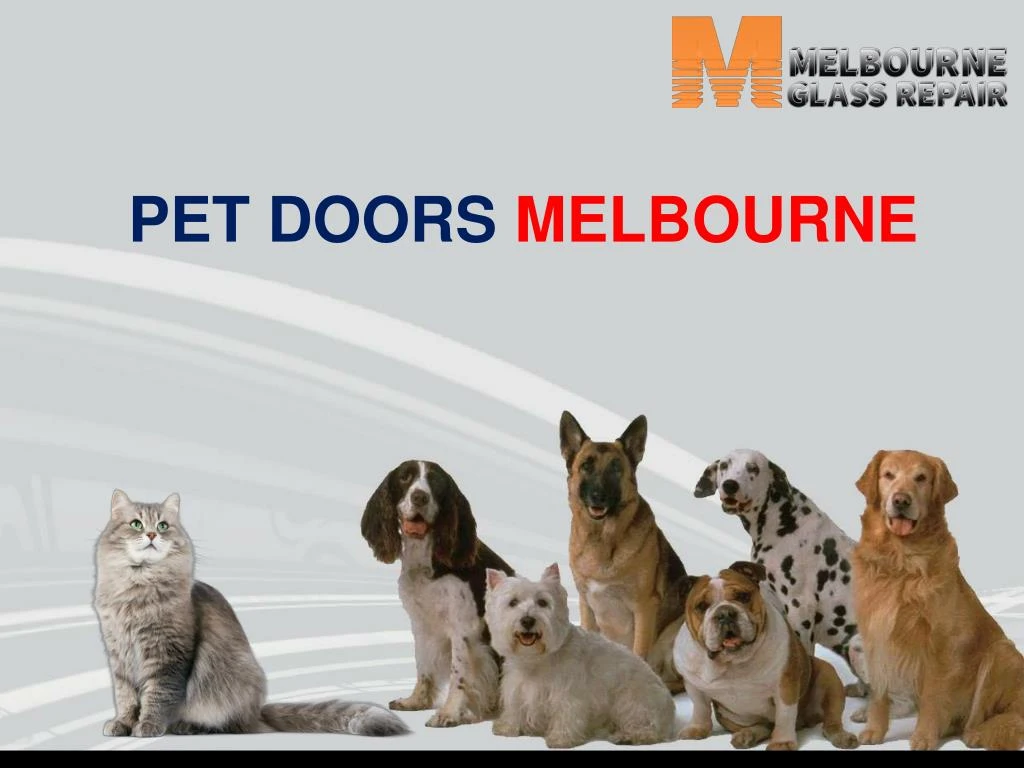 pet doors melbourne