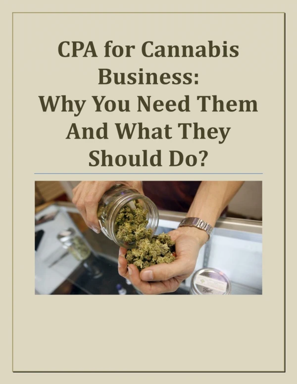 CPA for Cannabis Business: Why You Need Them And What They Should Do?