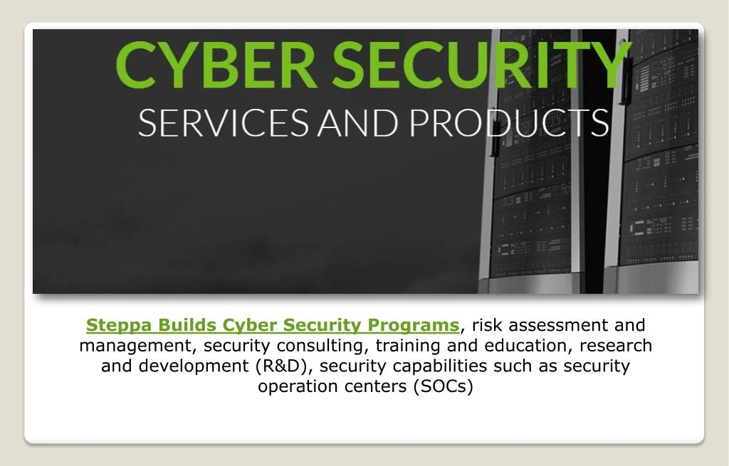 steppa builds cyber security programs risk