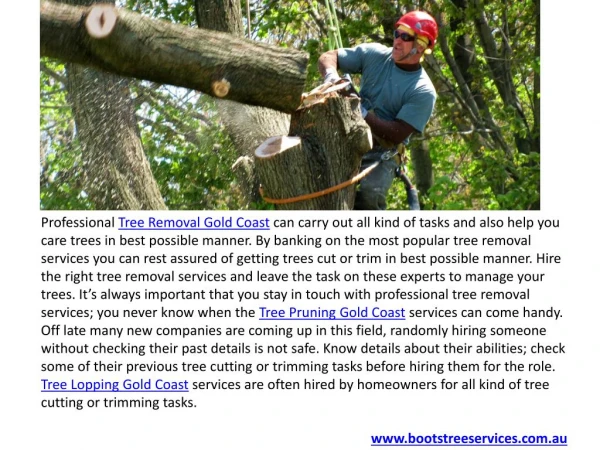 Emergency Tree Removal & Tree Trimming in Gold Coast