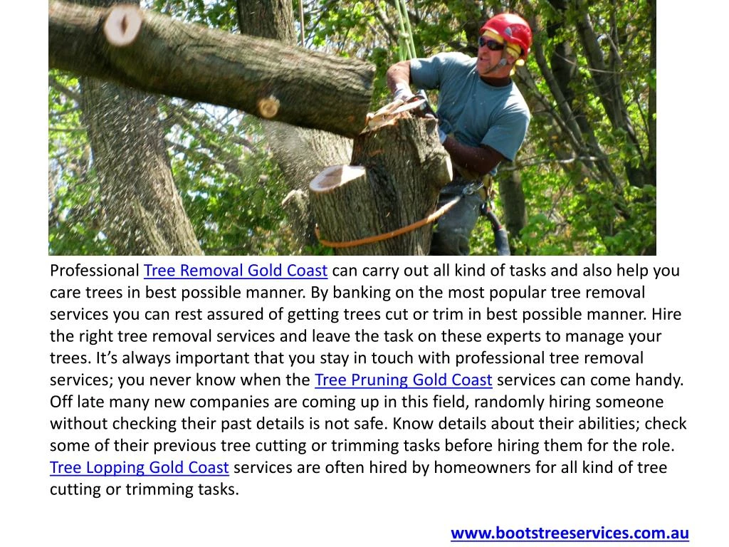 professional tree removal gold coast can carry