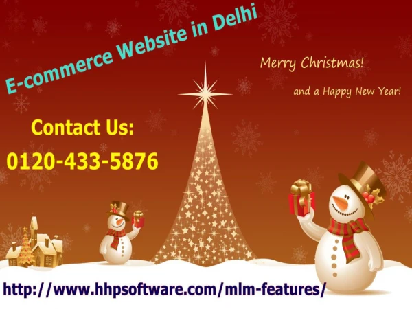 What do you understand by E-commerce Website in Delhi 0120-433-5876