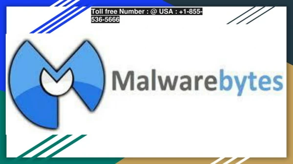 MalwareBytes Support Helpline Number
