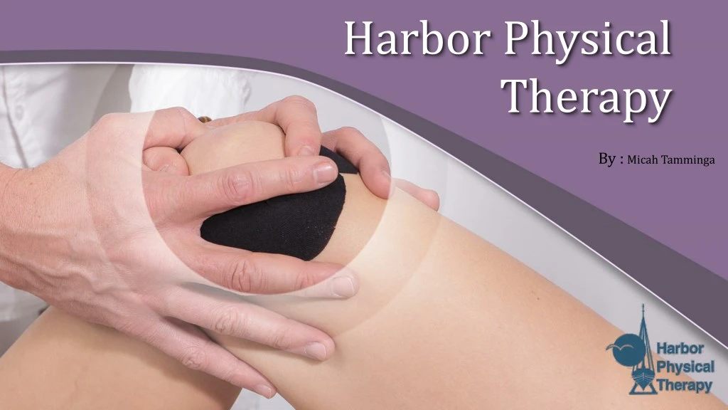 harbor physical therapy