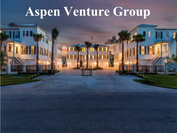 Aspen Venture Group - Real estate developer in St. Petersburg, Florida