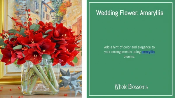 Make Eye-Catching and Stunning Wedding Arrangements with Amaryllis Flowers