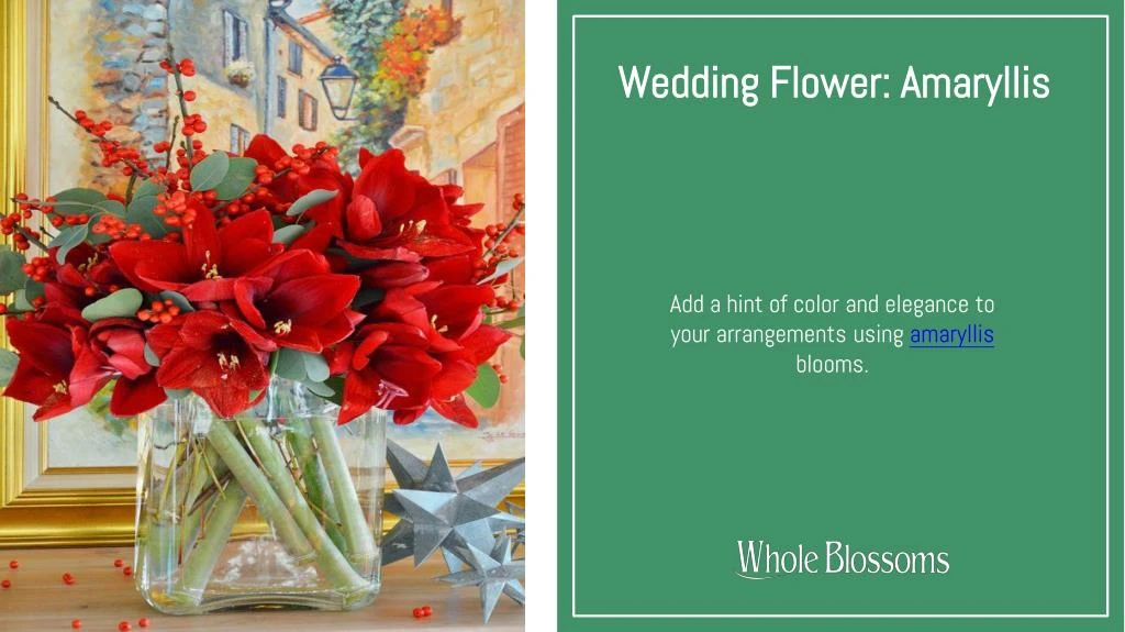 wedding flower amaryllis