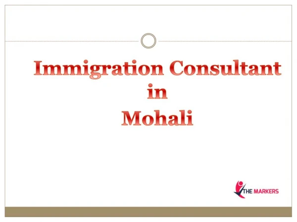 Immigration Consultant in Mohali