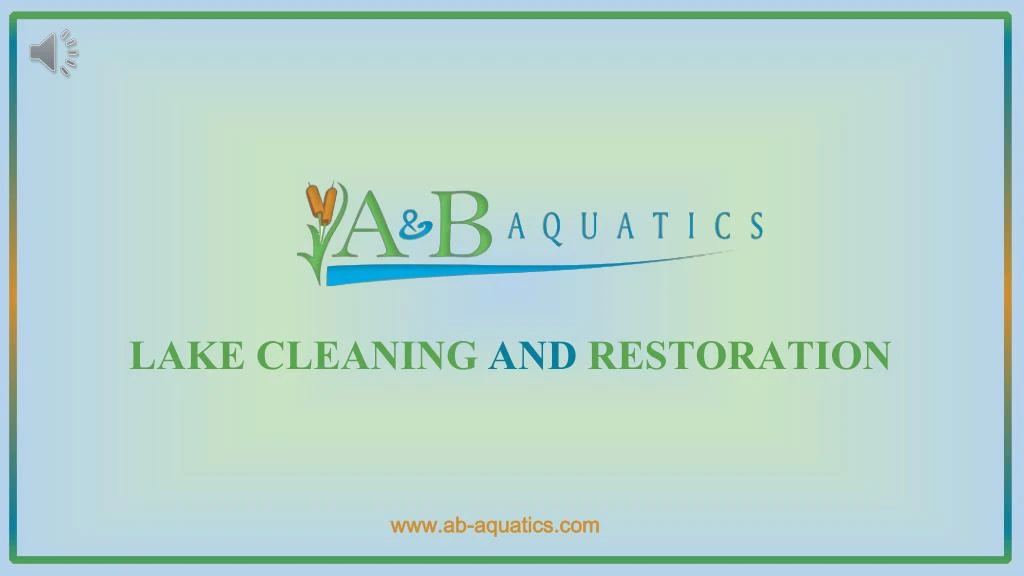 lake cleaning and restoration