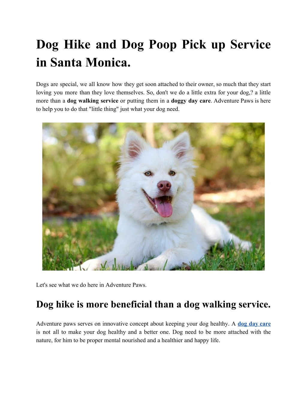 dog hike and dog poop pick up service in santa