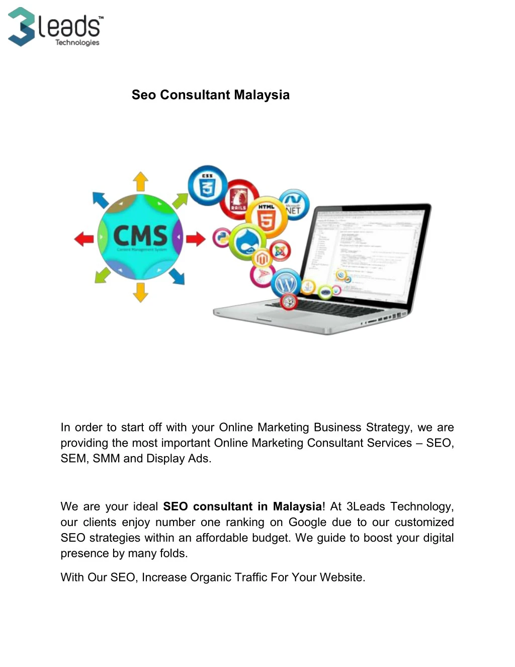 seo consultant malaysia