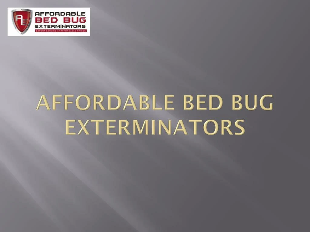 affordable bed bug exterminators