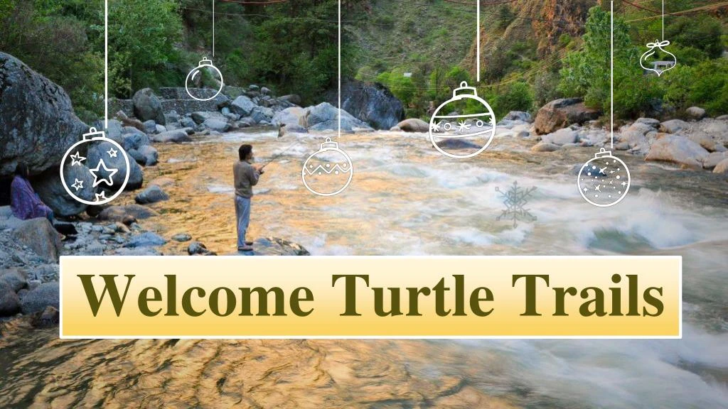 welcome turtle trails