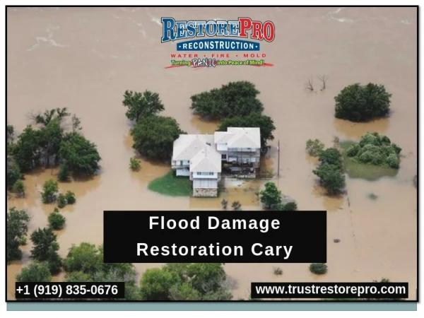 Expert of Flood Damage Restoration Cary NC