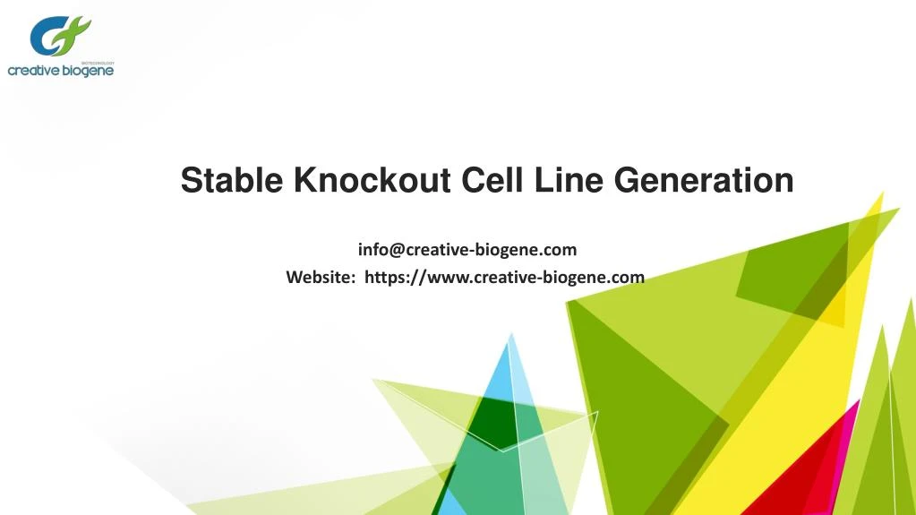 stable knockout cell line generation