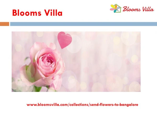 Flowers Delivery In Bangalore Same Day